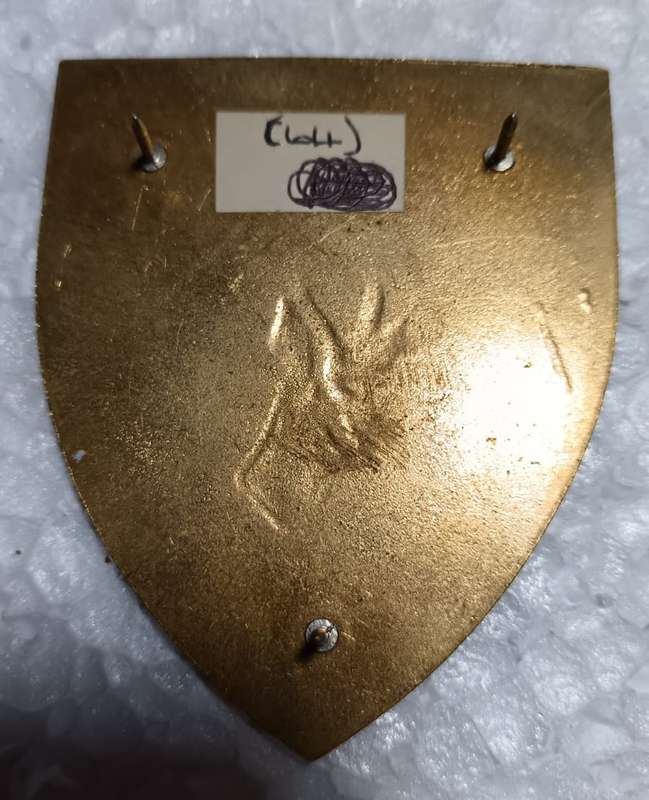 SADF - OFS Command Shoulder Flash