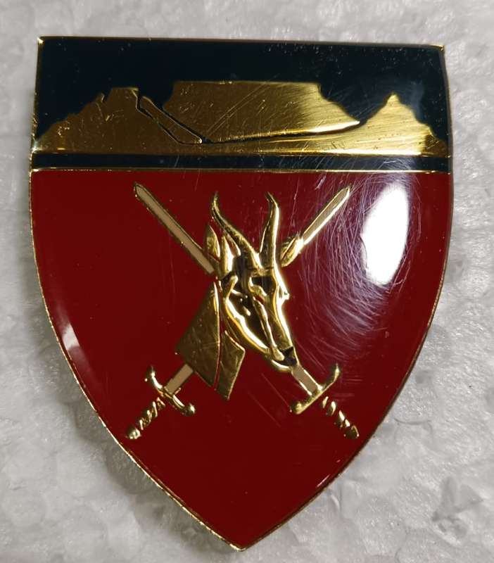 SADF - WP Command Shoulder Flash