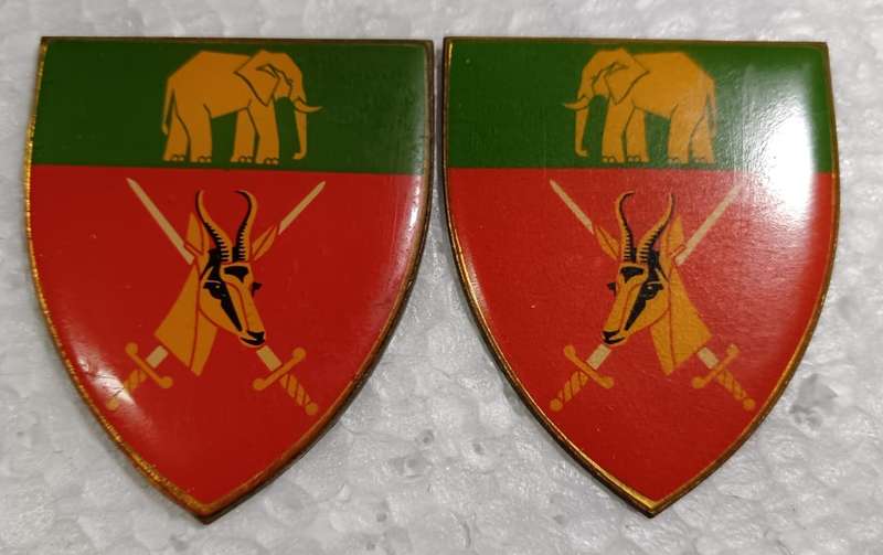 SADF - EP Command Shoulder Flash Pair