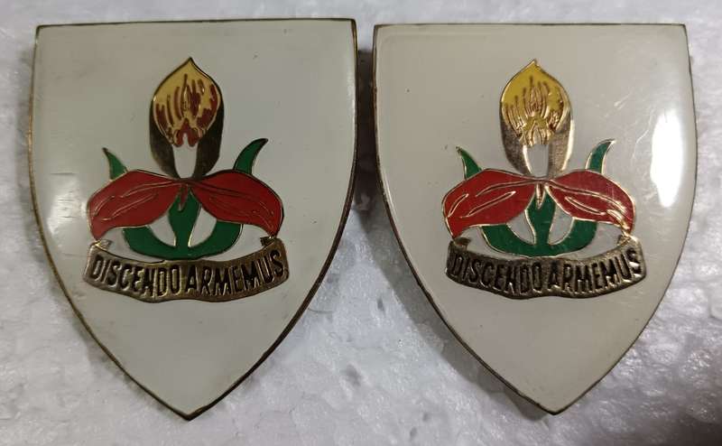SADF - Military Academy Shoulder Flash Pair