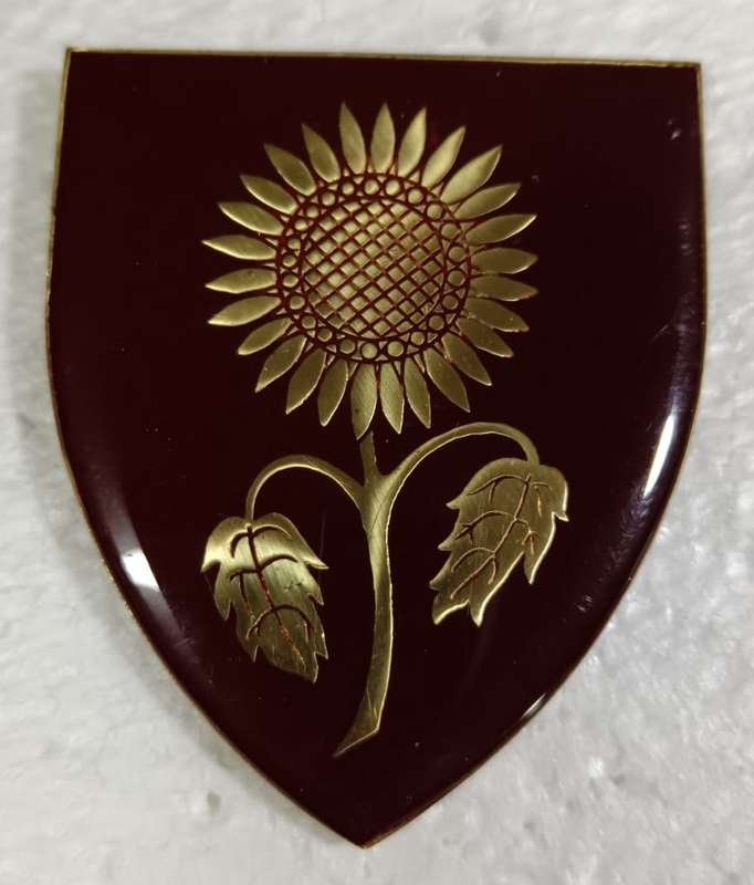 SADF - Somerset East Commando Shoulder Flash