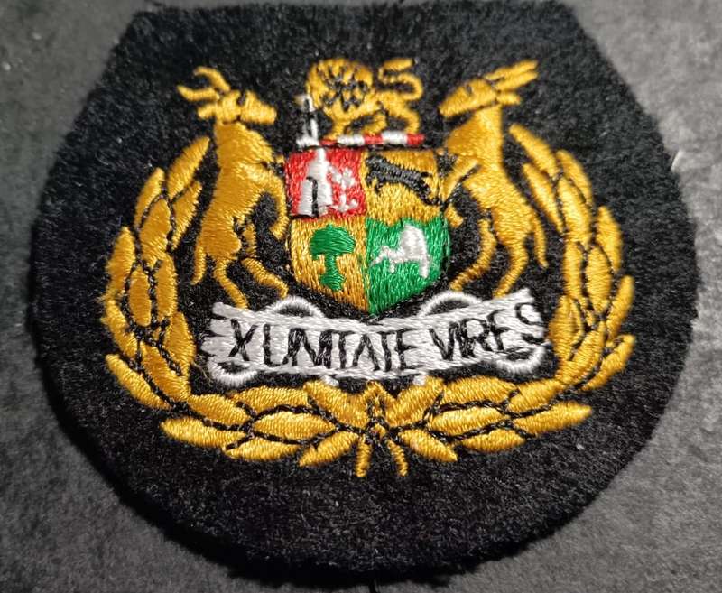 SADF - Warrant Officer Rank Badge