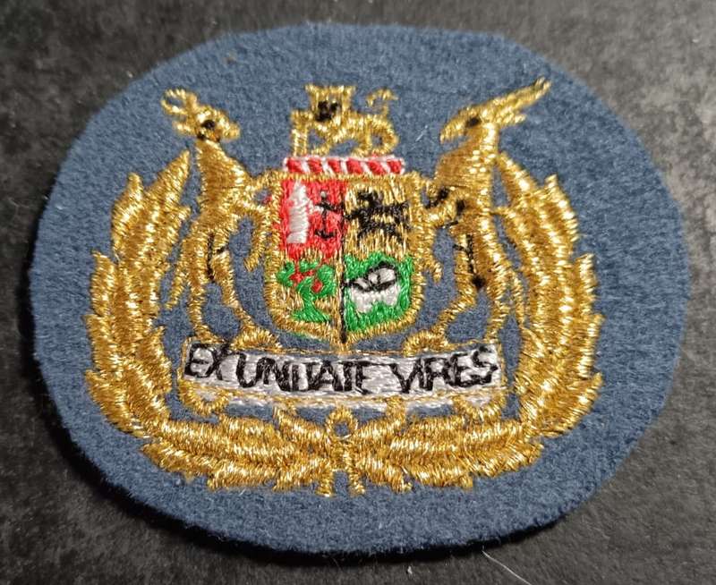 SADF - SAAF Warrant Officer Rank Badge