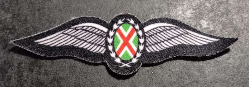 SADF - SAAF Commando Pilot Wing