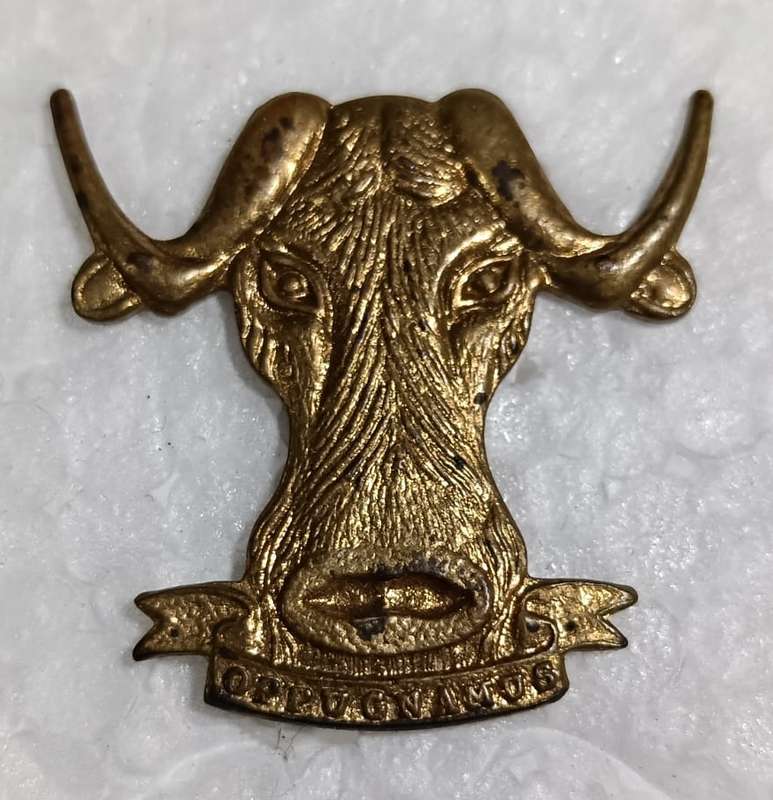 SADF - Regiment Port Natal Collar Badge