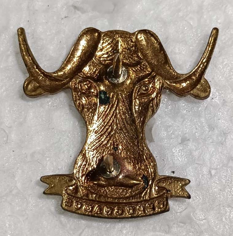 SADF - Regiment Port Natal Collar Badge