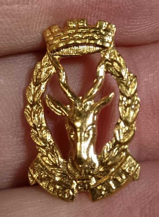 SADF - SWA Regiment Mess Dress Collar