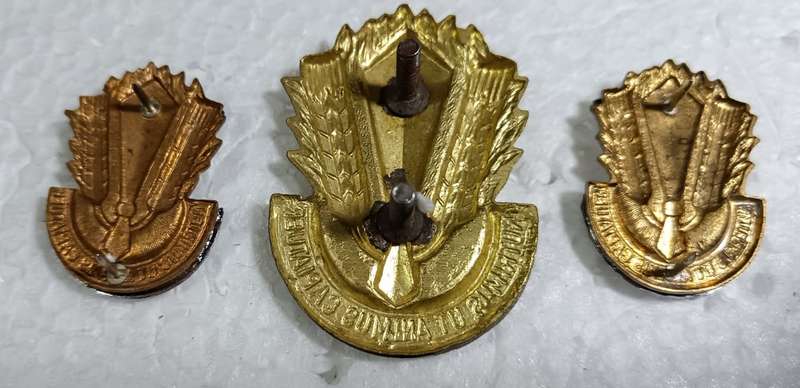 SADF - Catering Corps Cap and Collars