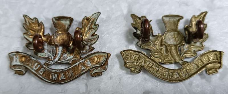SADF - Transvaal Scottish Collars