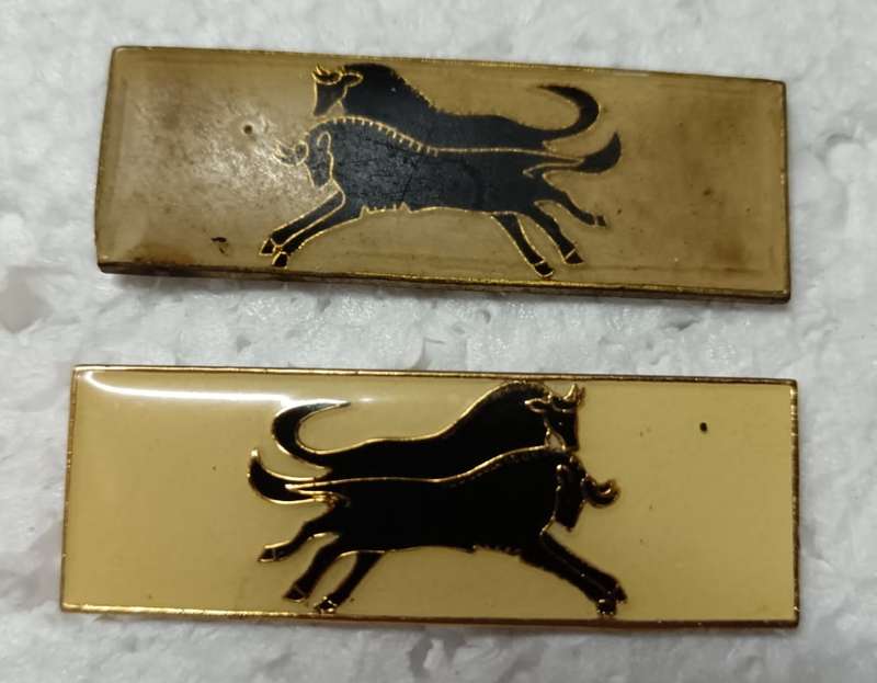 SADF - Natal Formation Bars