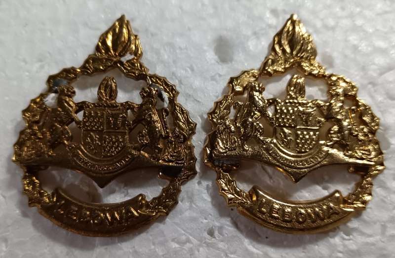 (Homelands)Warrant Officer Rank Pair
