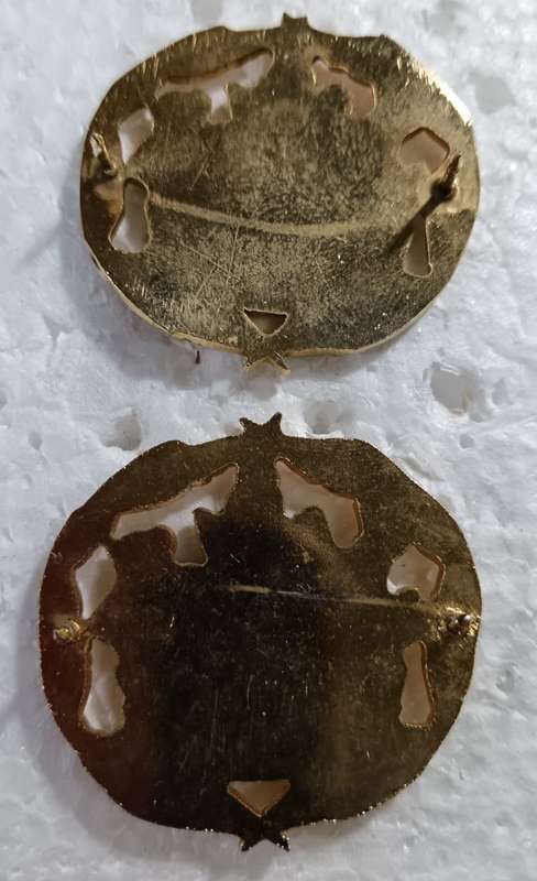 (Homelands) Warrant Officer Rank Badges