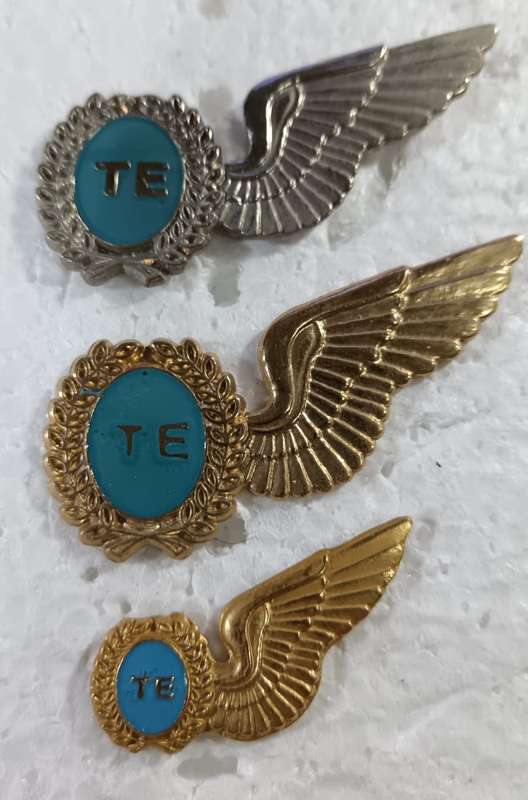 SADF - SAAF Test Engineer Wings