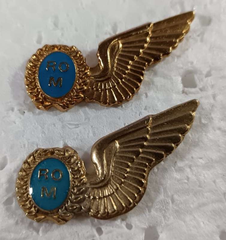 SADF - SAAF Radio Operator Wings