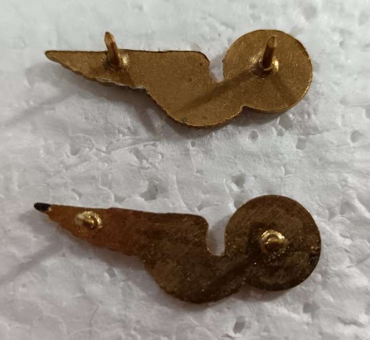 SADF - SAAF Wings