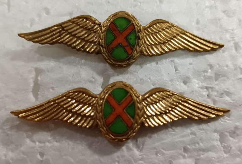 SADF - SAAF Commando Pilot Mess Dress Wings