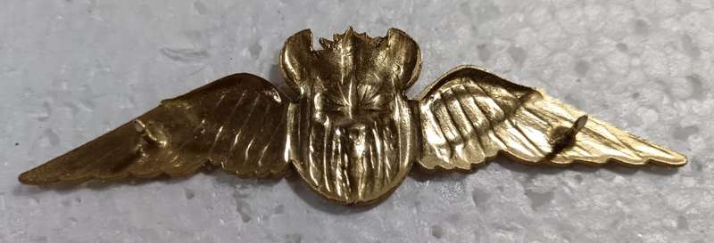 SA Air Force Wings
