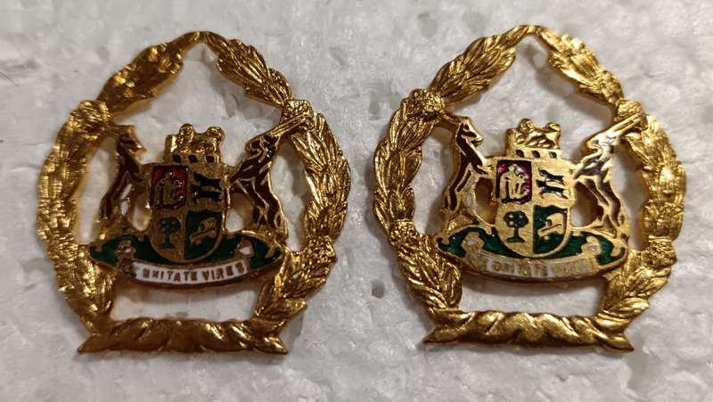 South African Warrant Officer Rank Lot