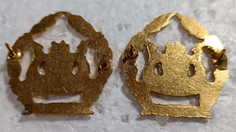South African Warrant Officer Rank Lot
