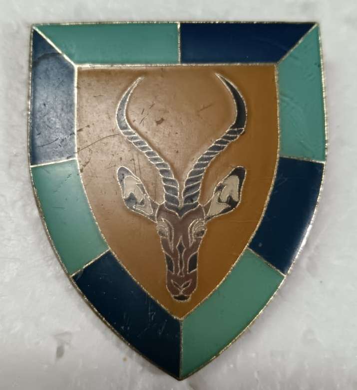 SADF - SWA 102 Battalion Pocket Flash