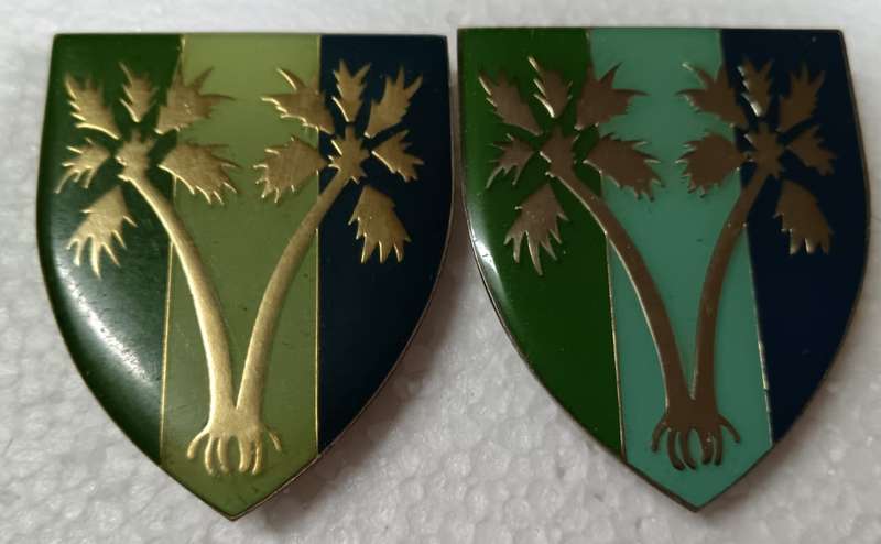 SADF - SWA 6 Signals Unit Shoulder Flash Pair