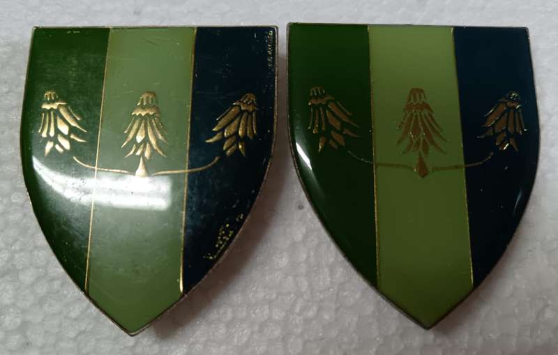 SADF - Far North Command Signals Shoulder Flash Pair