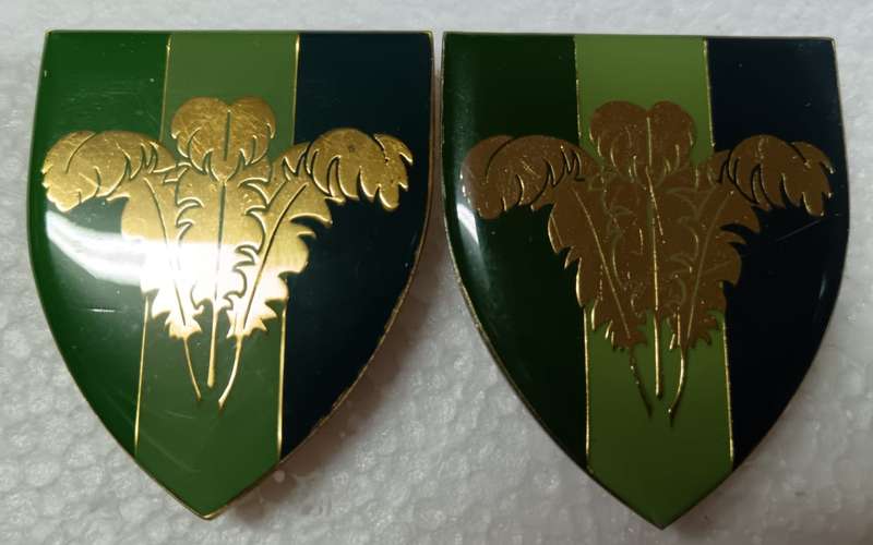 SADF - Southern Cape Command Signals Shoulder Flash Pair