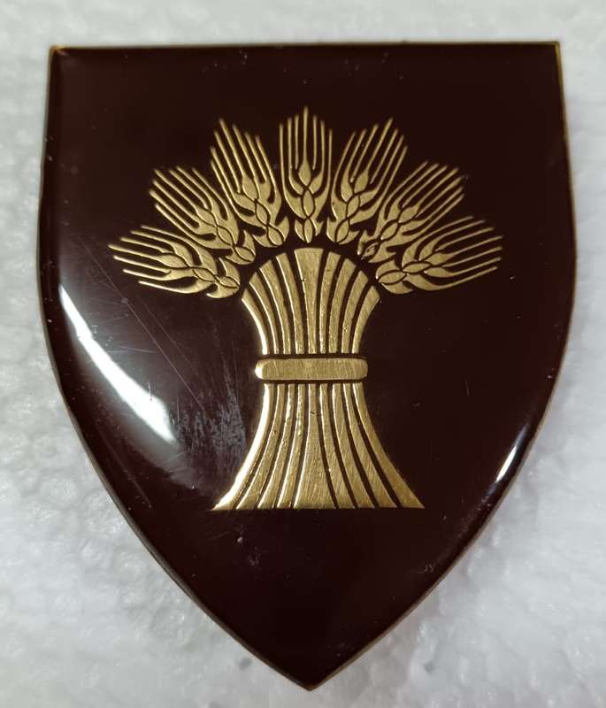 SADF - Bethlehem Commando Shoulder Flash