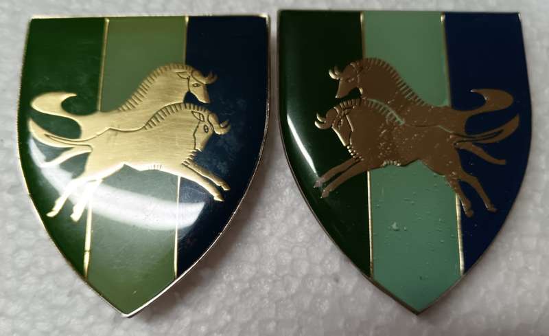 SADF - Natal Command Signals Shoulder Flash Pair