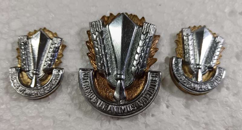 SADF - Catering Corps Cap and Collars
