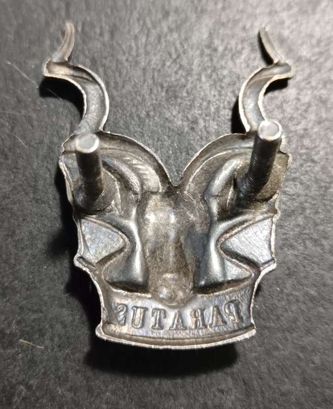 SADF - SWATF Cap Badge