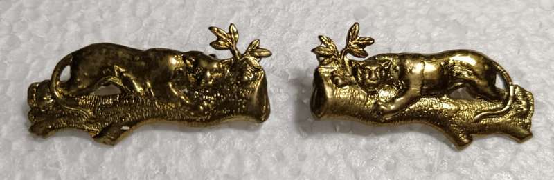 SADF - First City Regiment Collars