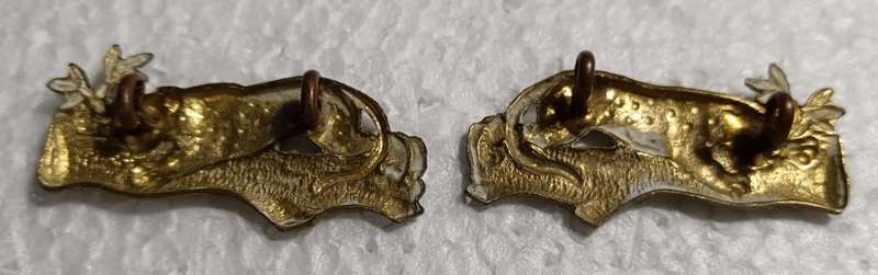 SADF - First City Regiment Collars