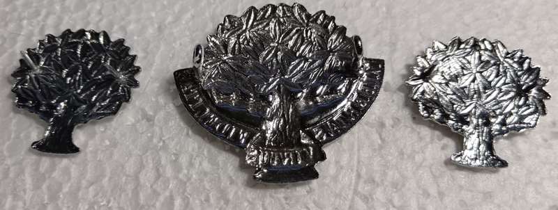 SADF - Regiment Freestate Cap amd Collars