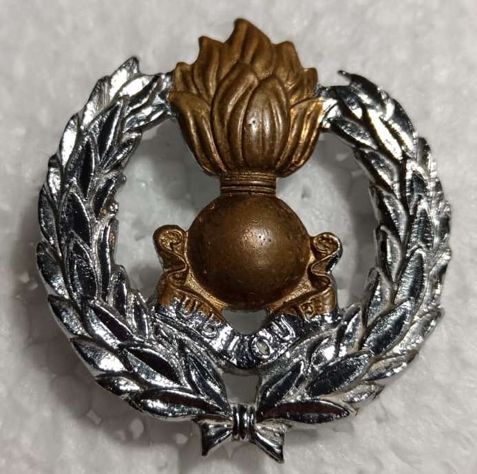 SADF - Engineers Cap Badge