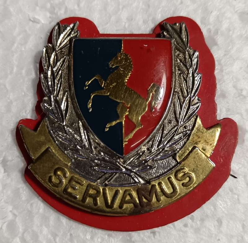 SADF - Technical Services Training Center Cap Badge