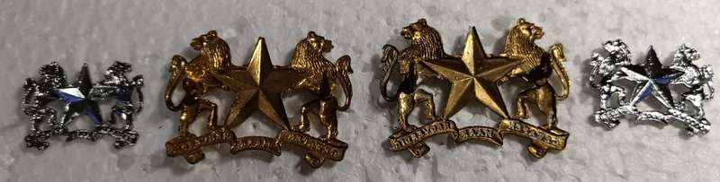 SADF -  Regiment Molopo Collars and Mess Dress