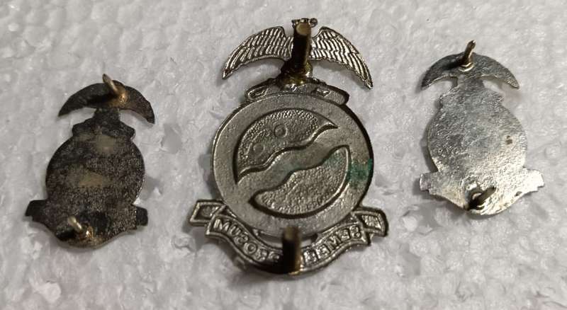SADF -  Regiment Mooi River Cap and Collars