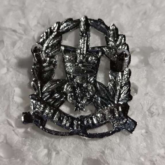 International  -  Hampshire Constabulary Collar Badge