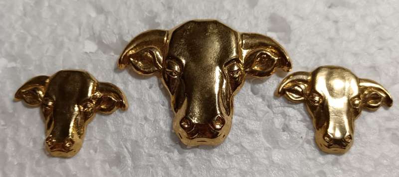 Homelands( Transkei ) Defence Forces Officers Cap and Collars