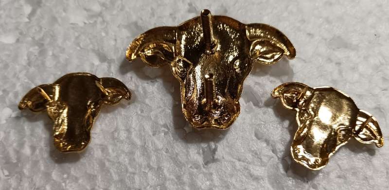 Homelands( Transkei ) Defence Forces Officers Cap and Collars