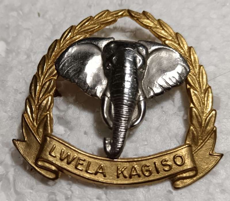 (Homelands) Bophutatswana 2 Infantry Battalion Cap Badge