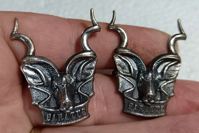 SADF - SWATf Area Force Cap Badge ( 2 Available )
