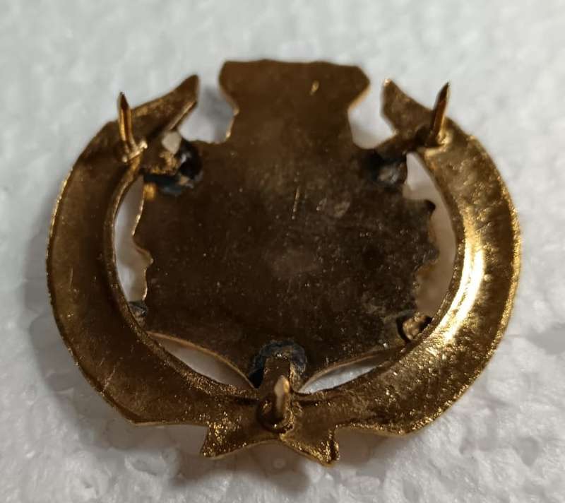 (Homelands) Warrant Officer Rank Badge