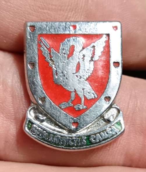 Western Province Blood Transfusion Service (WPBTS, South Africa) - Blood Donor's Badge (c.1960)
