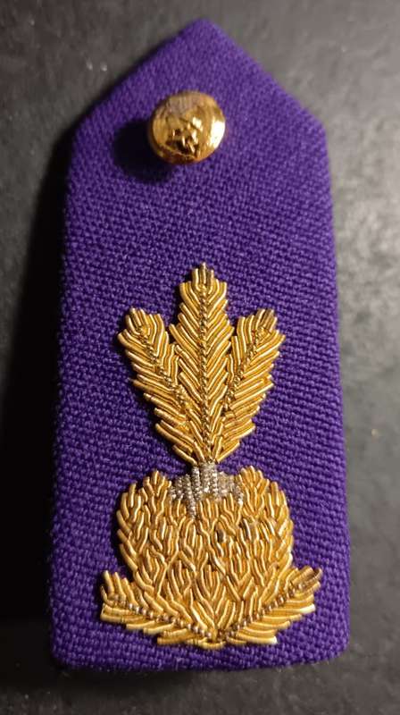 South African Prison Services Chaplain Gorget