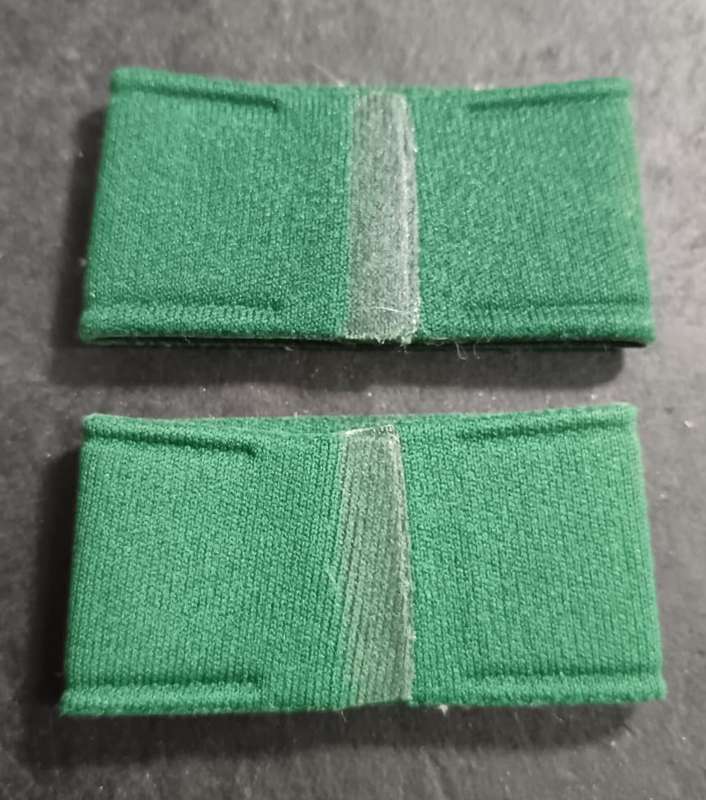 Pair of South African Prison Services Title Badges