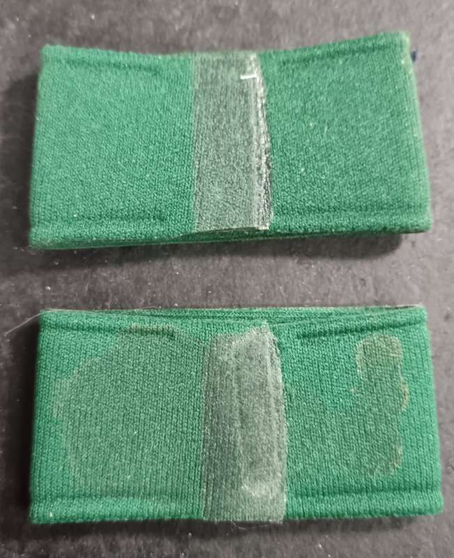 Pair of South African Prison Services Title Badges