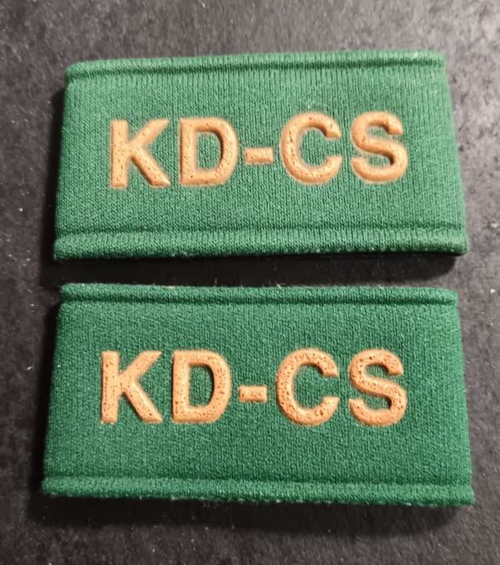 Pair of South African Prison Services Title Badges