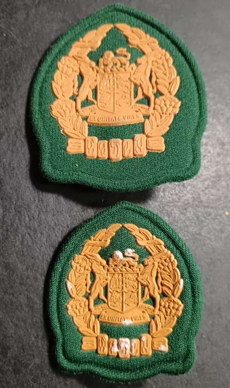 South African Prison Service Badges
